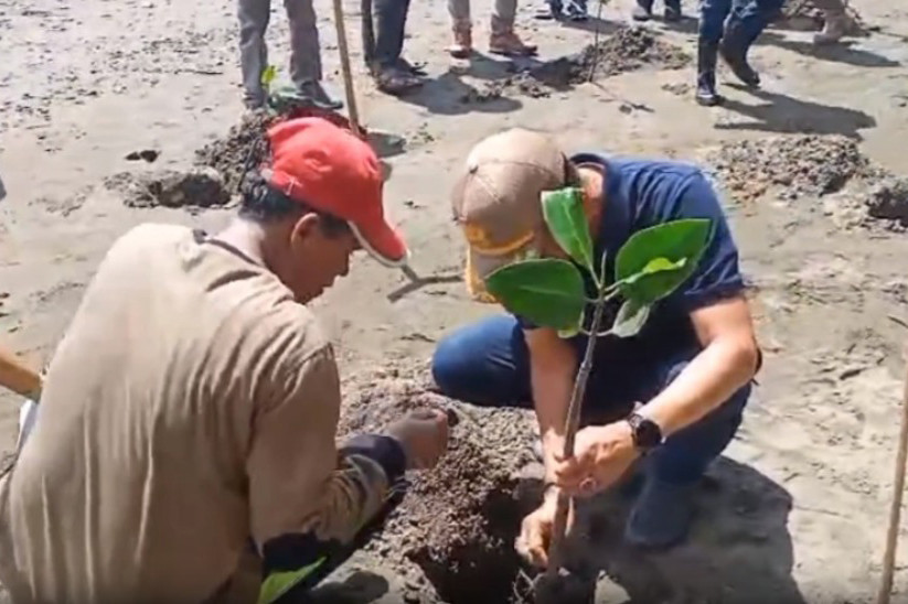 Kegiatan tanam mangrove ini dilakukan di kawasan obyek wisata Hutan Mangrove Takalala, Desa Sanjai, Kecamatan Sinjai Timur.