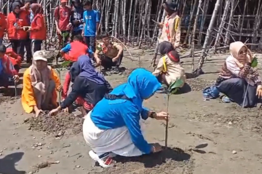 Untuk mengantisipasi terjadinya abrasi pantai, Pemkab bersama masyarakat Sinjai, Sulawesi-Selatan melalukan aksi tanam mangrove di kawasan pantai.