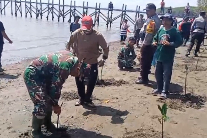 Sebanyak 100 pohon mangrove ditanam, dan diharapkan menurunkan tingkat abrasi pantai yang saat ini melanda kawasan wisata Pantai Takalala.