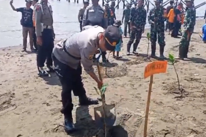 Penjabat Bupati Sinjai Andi Jefrianto mengatakan kegiatan tanam mangrove ini akan rutin dilakukan tiga bulan sekali dengan melibatkan masyarakat dan stake holder sebagai upaya untuk menjaga lingkungan.