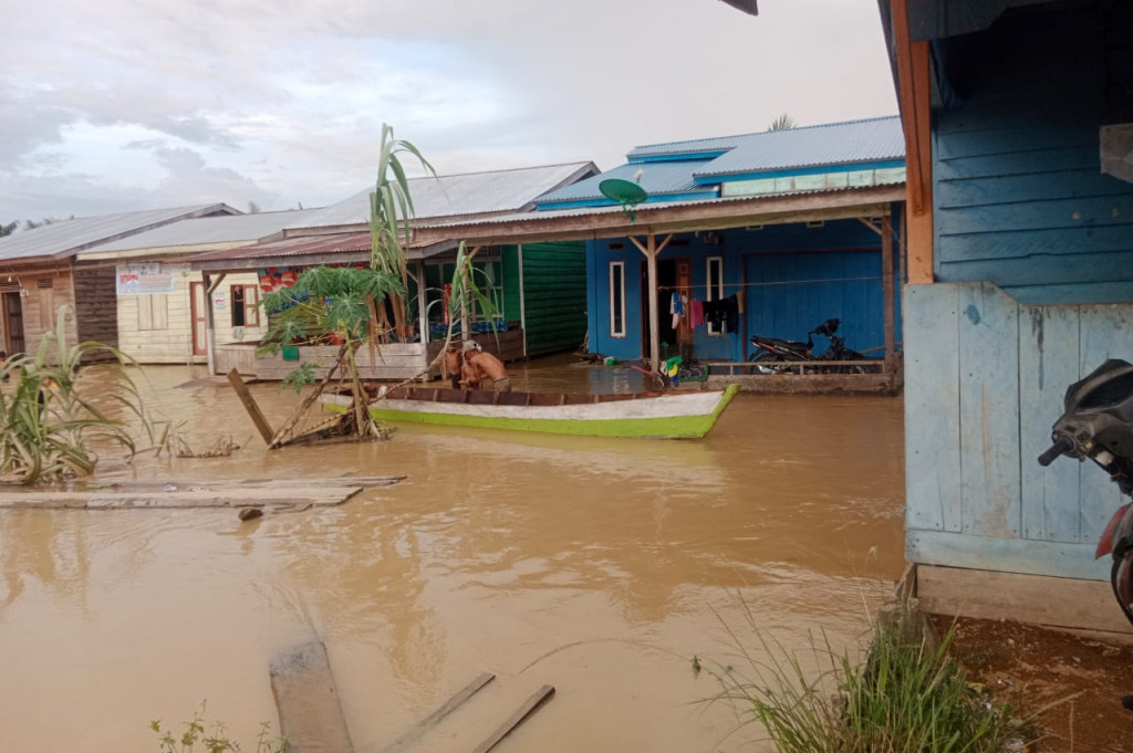 Hujan deras yang mengguyur Kota Subulussalam sejak beberapa hari terakhir mengakibatkan banjir meluas dan merendam puluhan desa di tiga kecamatan. Banjir dengan ketinggian bervariasi mulai dari 30 hingga 150 sentimeter ini mengakibatkan ribuan warga terdampak.