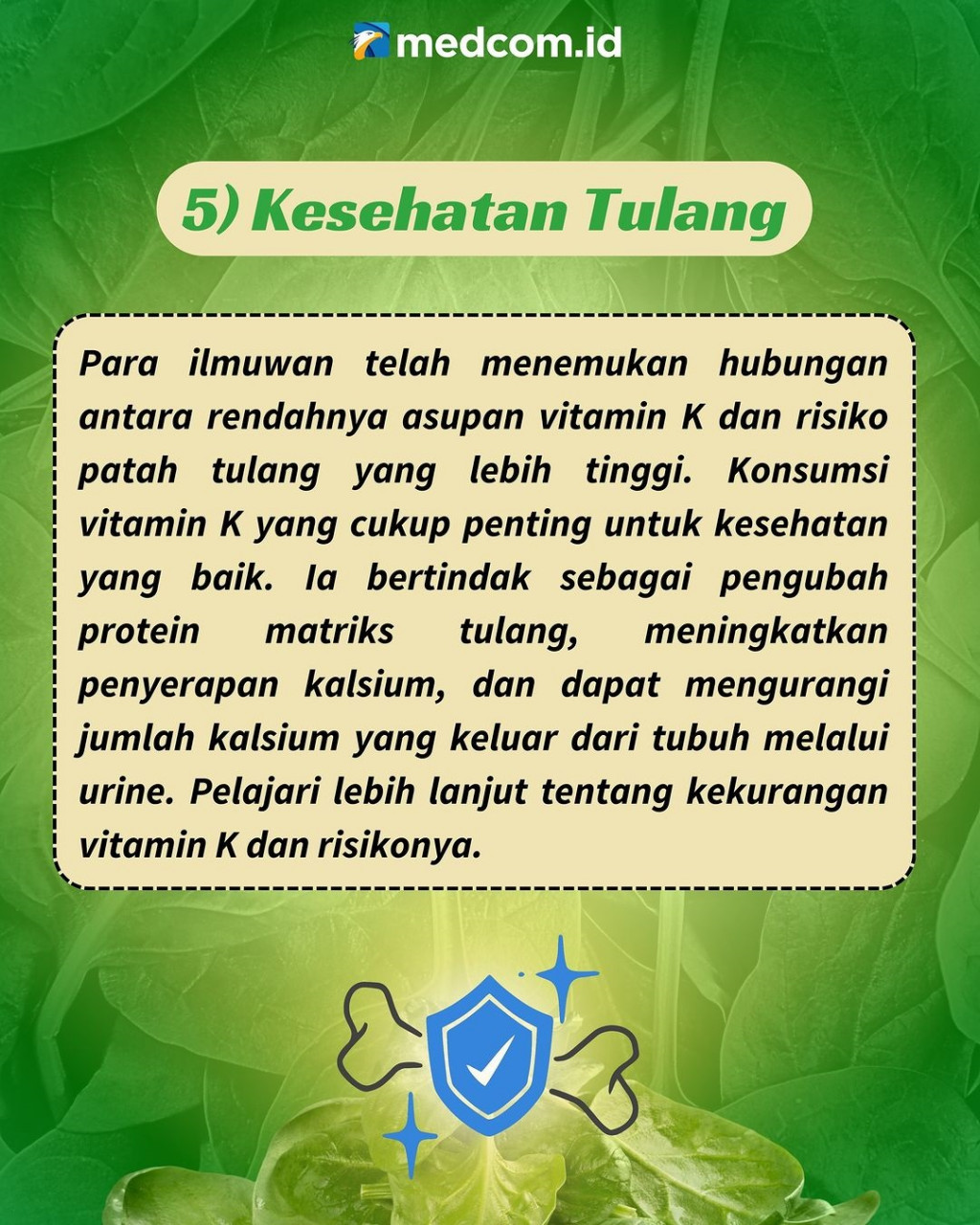 Beberapa Khasiat Bayam untuk Kesehatan