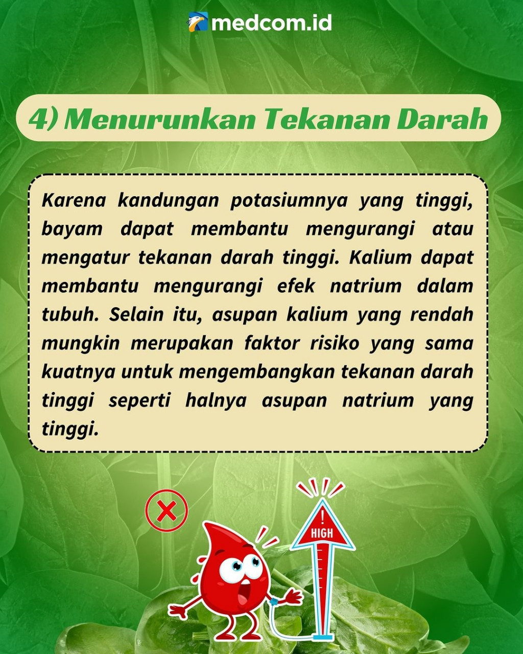 Beberapa Khasiat Bayam untuk Kesehatan