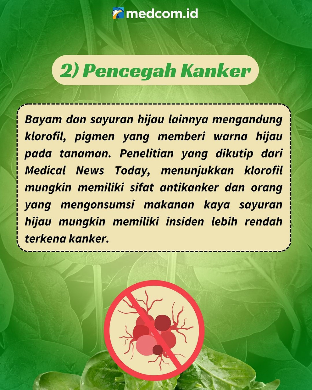 Beberapa Khasiat Bayam untuk Kesehatan