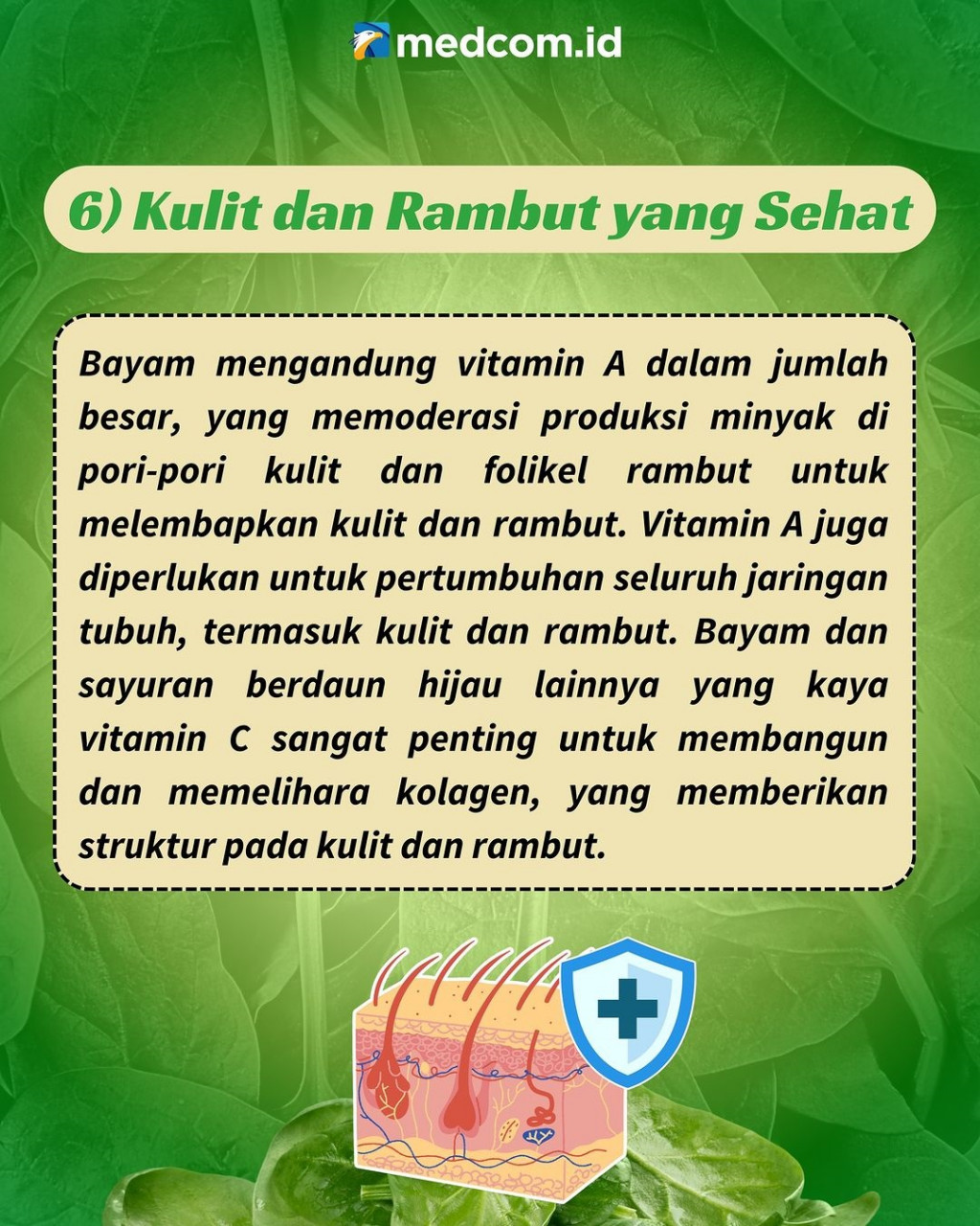 Beberapa Khasiat Bayam untuk Kesehatan