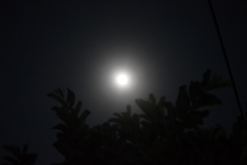 Ketua Tim Bidang Geofisika Potensial BMKG Syrojudin menyatakan fenomena Hunter Moon tersebut tidak berbahaya sehingga dapat disaksikan dengan mata telanjang. Hanya saja saat terjadi bulan purnama akan membawa pengaruh pada pasang surut air laut. Hal ini perlu diperhatikan masyarakat khususnya yang berada di kawasan pesisir.