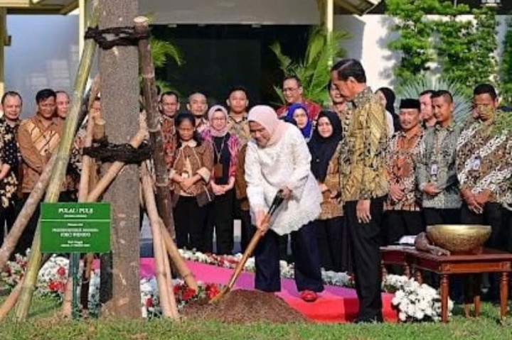 Pohon flamboyan yang ditanam oleh Ibu Iriana dikenal dengan bunganya yang cerah dan memikat, sering kali melambangkan kecantikan dan harapan.