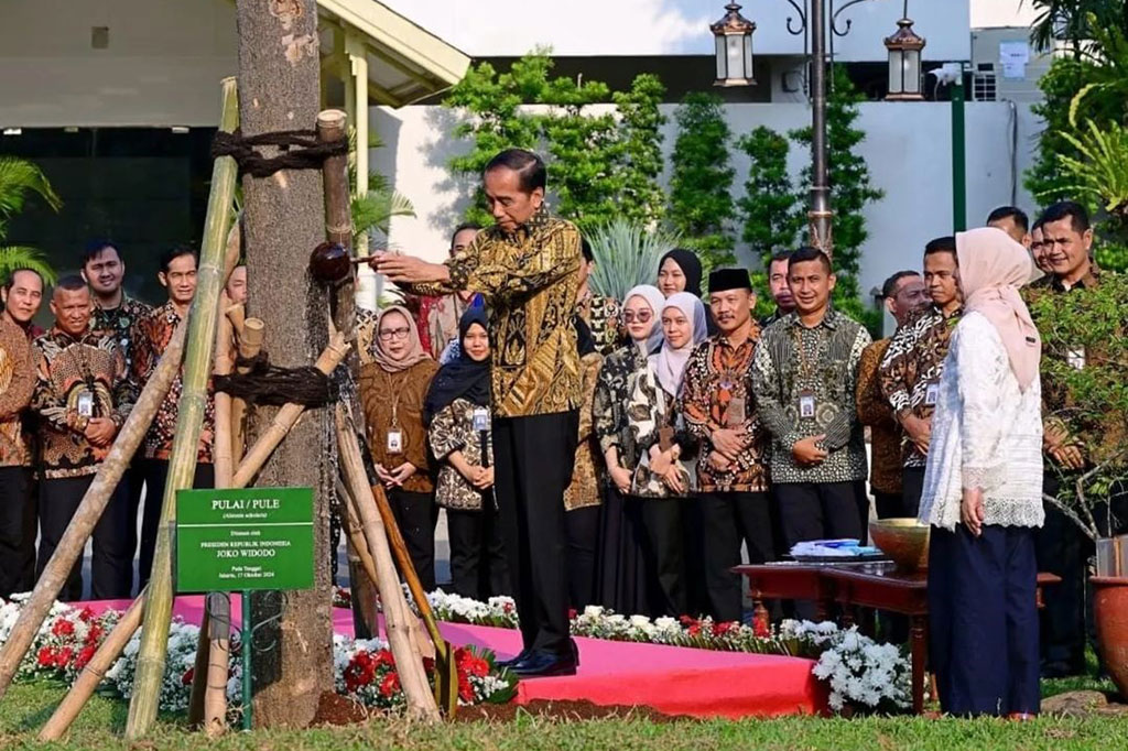 Menjelang purnatugas, Presiden Joko Widodo (Jokowi) menanam pohon pulai dan Iriana Joko Widodo menanam pohon flamboyan di halaman tengah Istana Kepresidenan Jakarta, Kamis, 18 Oktober 2024 sore.