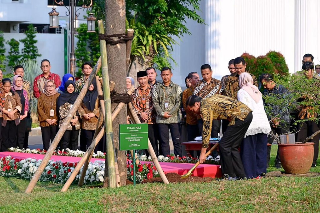 Sementara itu, pohon pulai yang dipilih oleh Presiden Jokowi, memiliki makna simbolis dalam ketahanan dan kekuatan, merepresentasikan visi jangka panjang pemerintahan terhadap pembangunan berkelanjutan.
