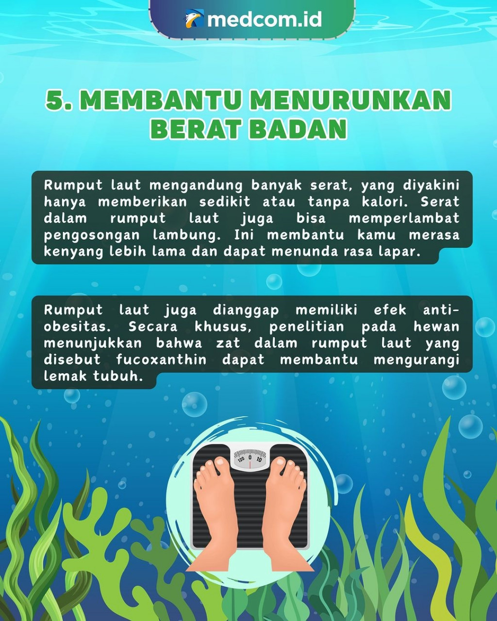 5 Manfaat Rumput Laut Bagi Kesehatan