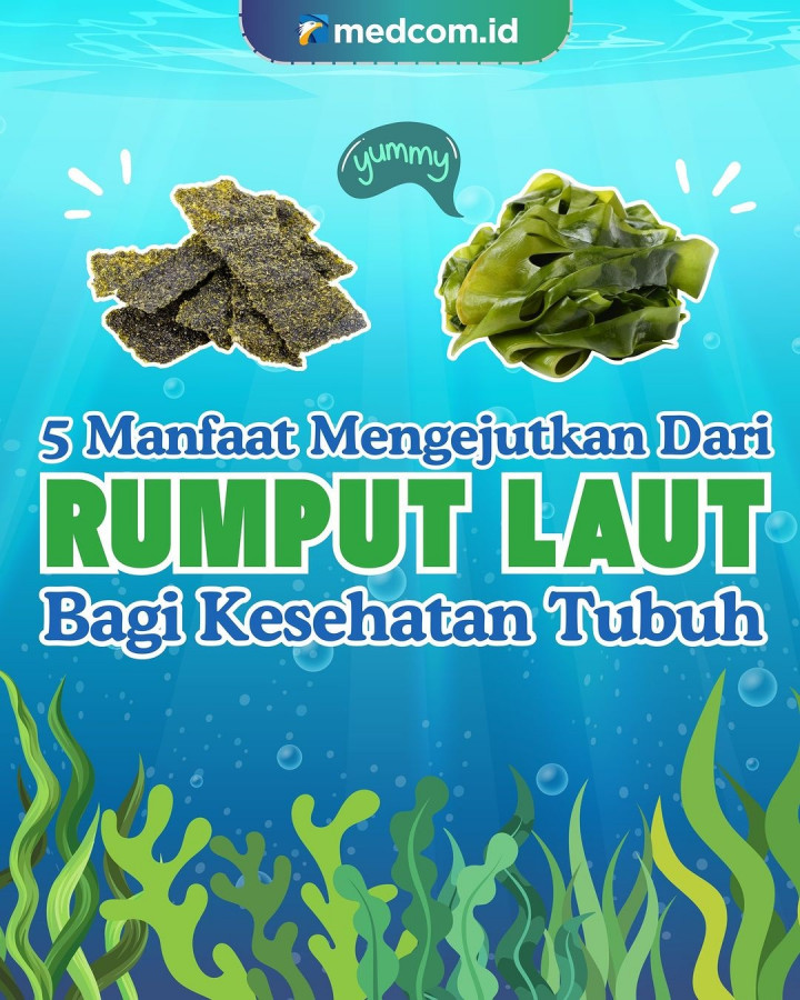 5 Manfaat Rumput Laut Bagi Kesehatan