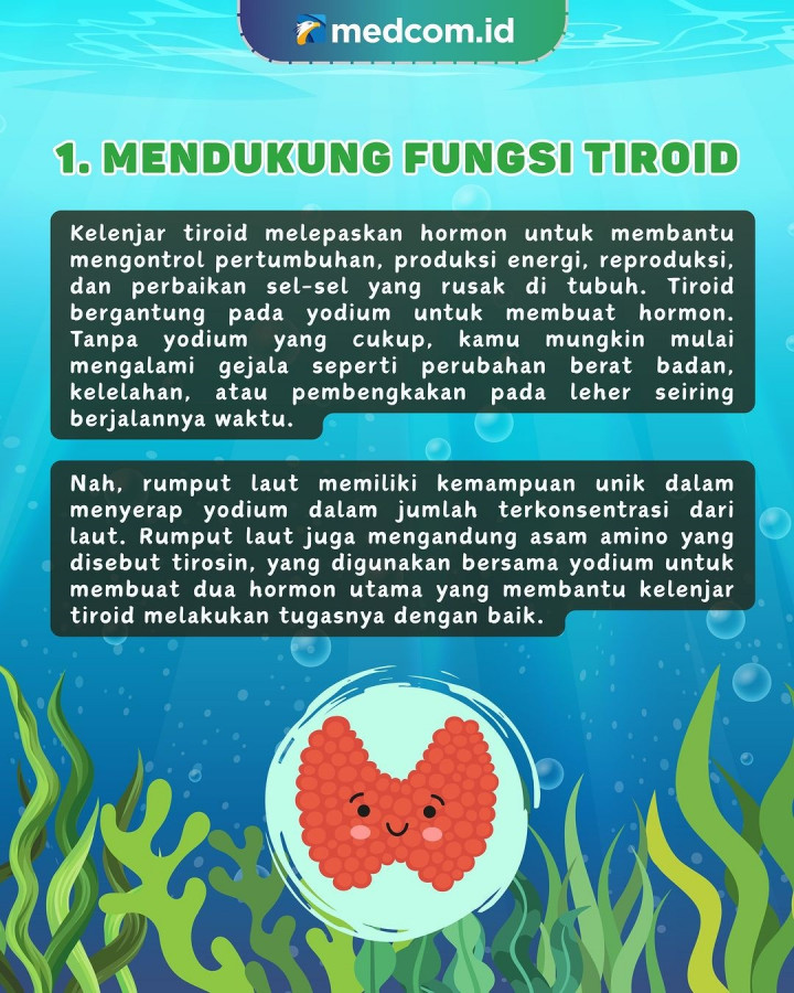 5 Manfaat Rumput Laut Bagi Kesehatan