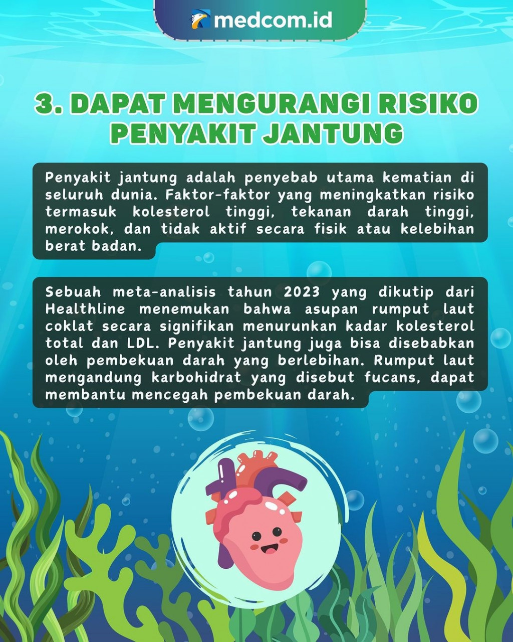 5 Manfaat Rumput Laut Bagi Kesehatan