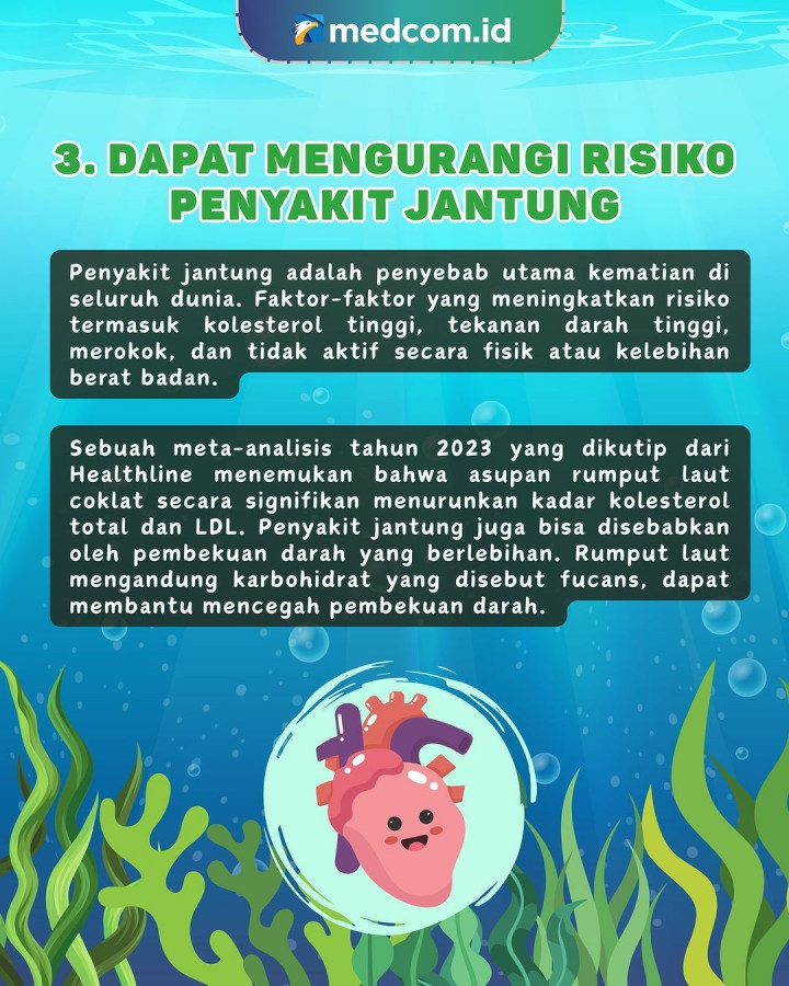 5 Manfaat Rumput Laut Bagi Kesehatan