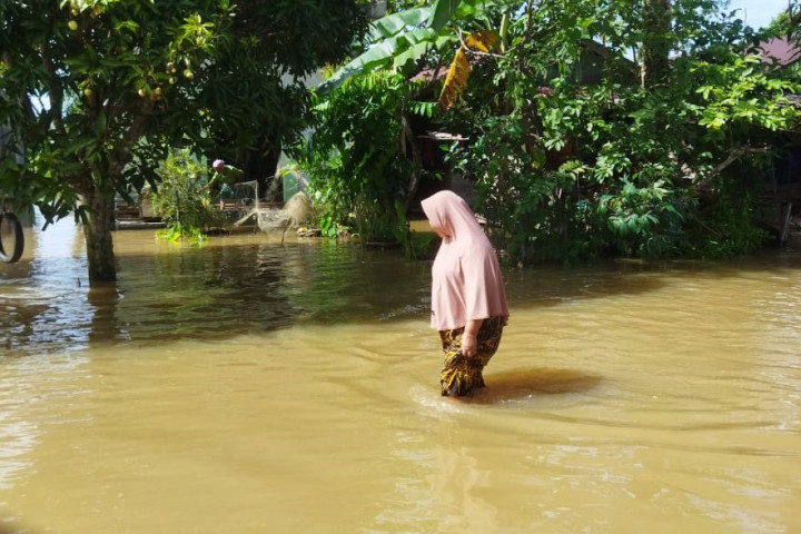 Hujan deras yang mengguyur wilayah Aceh Singkil dalam beberapa hari terakhir mengakibatkan banjir besar yang melanda sejumlah kecamatan. Peristiwa ini menyebabkan ribuan jiwa di wilayah tersebut terdampak banjir.