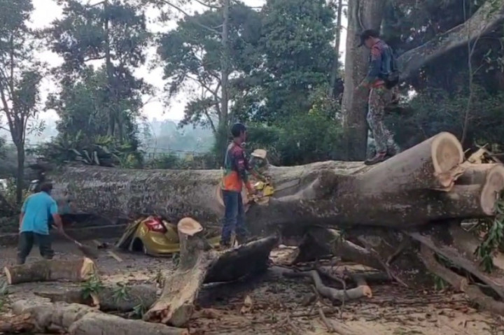Sedikitnya 4 kendaraan mengalami rusak berat dan 5 kendaraan lainnya rusak ringan, beruntung tidak ada korban jiwa dalam peristiwa ini.