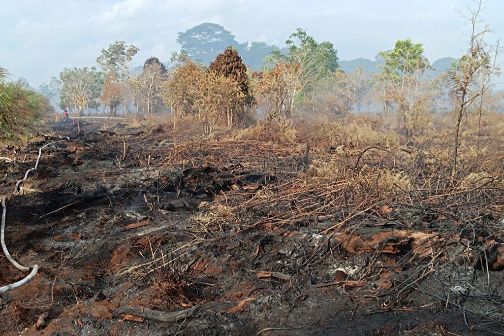 Kebakaran hutan dan lahan (karhutla) melanda Desa Deuah, Kecamatan Samatiga, Aceh Barat, Aceh. Hingga kini, api masih terus berkobar dan telah mencapai sekitar 8 hektare.