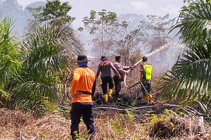 Menanggapi laporan masyarakat, BPBD Aceh Barat langsung menerjunkan tim gabungan dengan berbagai peralatan pemadaman, seperti mesin pompa, kendaraan, dan drone untuk memantau perkembangan titik api dari udara.