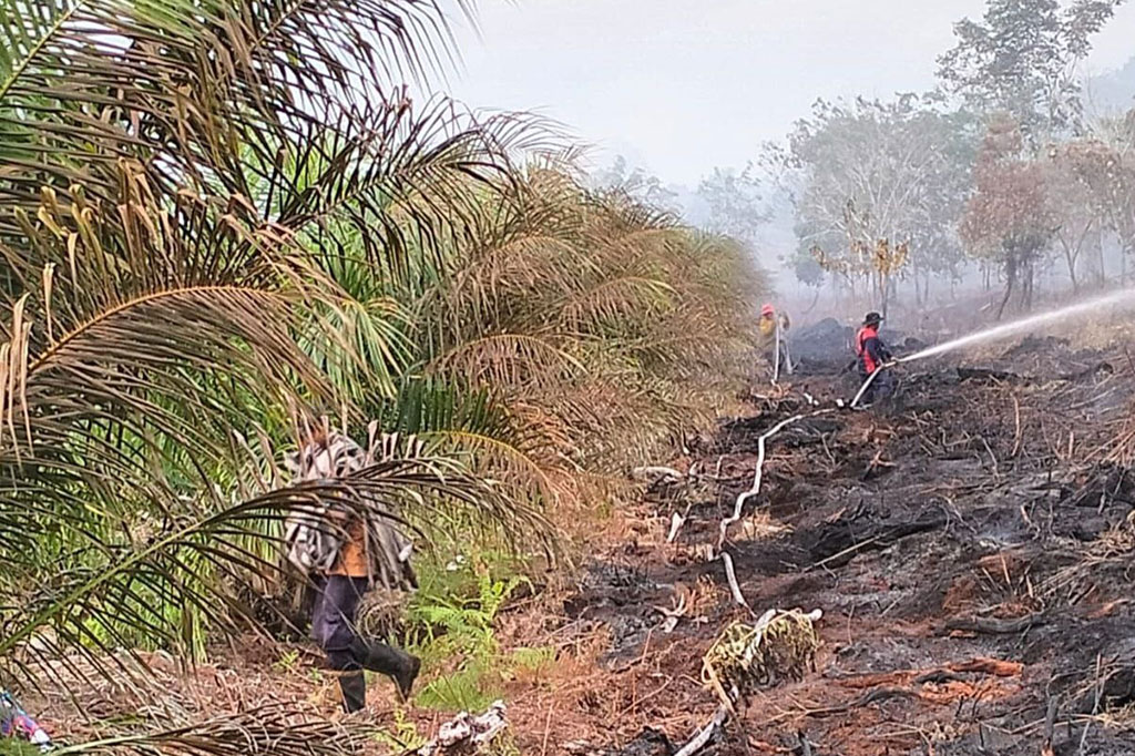 Pihaknya menjelaskan, meskipun titik api berada jauh dari pemukiman, tim tetap melakukan penyekatan untuk mengantisipasi penyebaran api. Akses menuju lokasi kejadian terbilang cukup mudah, sehingga memudahkan mobilisasi tim pemadam.