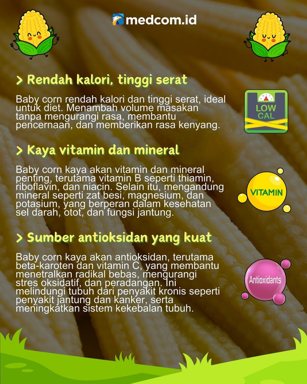 6 Manfaat Mengonsumsi Baby Corn
