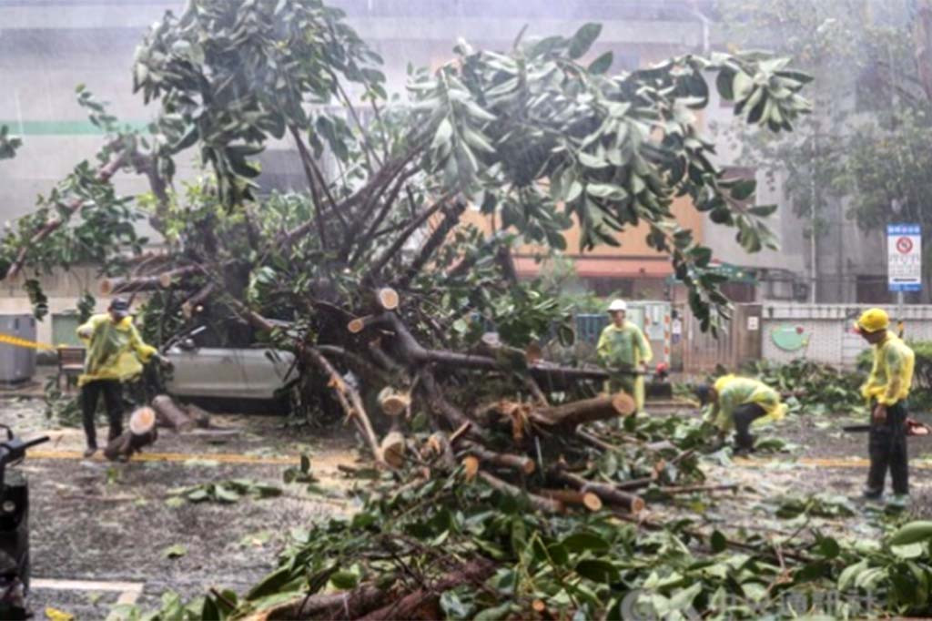 Pihak berwenang Taiwan melaporkan dua orang tewas dan 205 orang cedera akibat badai tersebut hingga Kamis sore. Salah satu korban tewas adalah pohon yang tumbang menimpa kendaraan. Kepolisian Taipei melaporkan bahwa satu orang lainnya tewas ketika tiang listrik tumbang, menurut Kantor Berita Pusat Taiwan.
