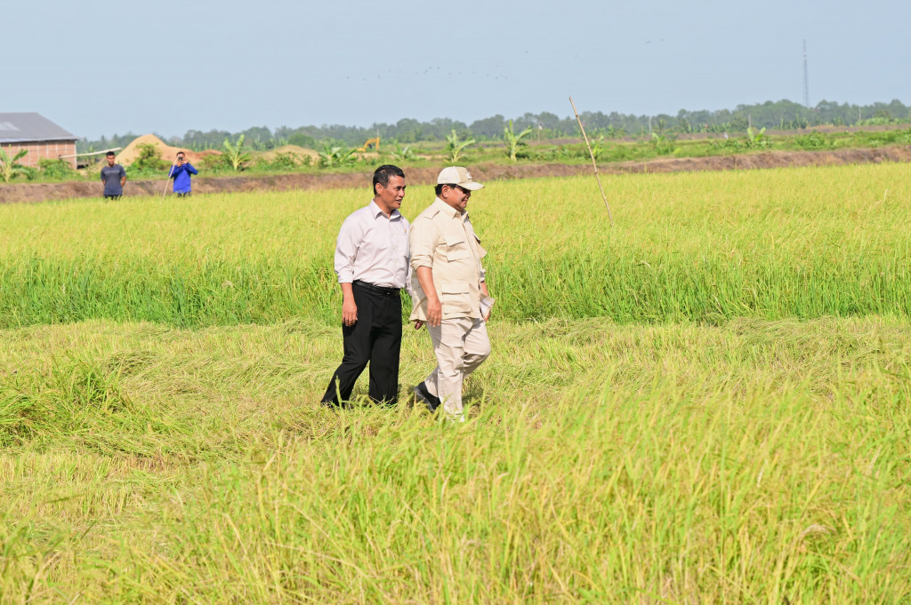Berdasarkan rilis Biro Pers, Media, dan Informasi Sekretariat Presiden, Presiden Prabowo melihat persiapan Demontration Plot (Demplot) padi untuk meningkatkan produktivitas pangan di wilayah timur Indonesia. Kepala Negara menyaksikan para petani dengan cermat mempersiapkan lahan agar optimal untuk musim tanam berikutnya.