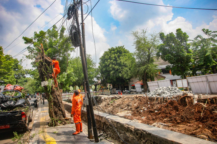 Akibatnya, turap Kali Utan Kayu sepanjang 45 meter pun longsor, termasuk trotoar, sejumlah pohon tumbang dan tiang listrik pun roboh.