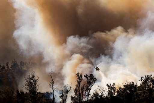 Kebakaran hutan dahsyat di negara bagian California, Amerika Serikat hingga Kamis, 7 November 2024 waktu setempat, telah memaksa lebih dari 14.000 warga mengungsi. Helikopter pemadam dikerahkan untuk memadamkan kebakaran tersebut.