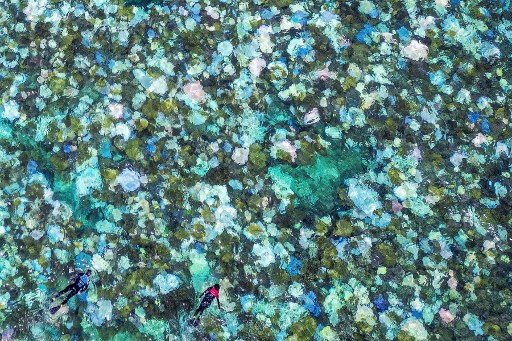 Great Barrier Reef yang terkenal di Australia berada di ambang kehancuran setelah mengalami salah satu peristiwa pemutihan karang paling parah yang pernah tercatat, yang kelima dalam delapan tahun.