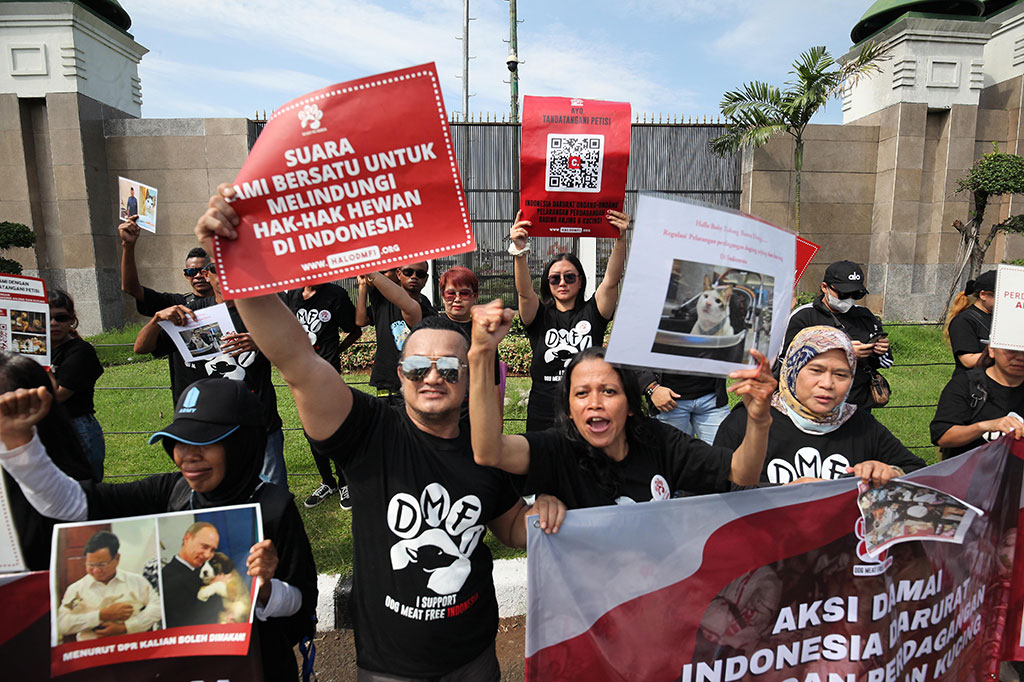 Sejumlah pegiat DMFI menggelar aksi dengan membawa berbagai poster yang bertuliskan 'Aku peduli & sayang anjing Indonesia', 'Suara kami bersatu untuk melindungi hak-hak hewan di Indonesia', 'Korsel sudah Indonesia kapan?', dan lain-lain.