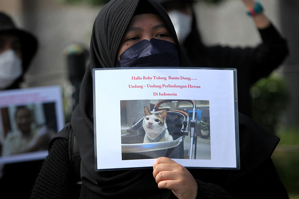 Mereka meminta dukungan anggota dewan selaku wakil rakyat untuk mendukung penghentian perdagangan daging anjing dan kucing sekaligus memberikan kesadaran masyarakat akan pentingnya perlindungan terhadap hewan domestik.