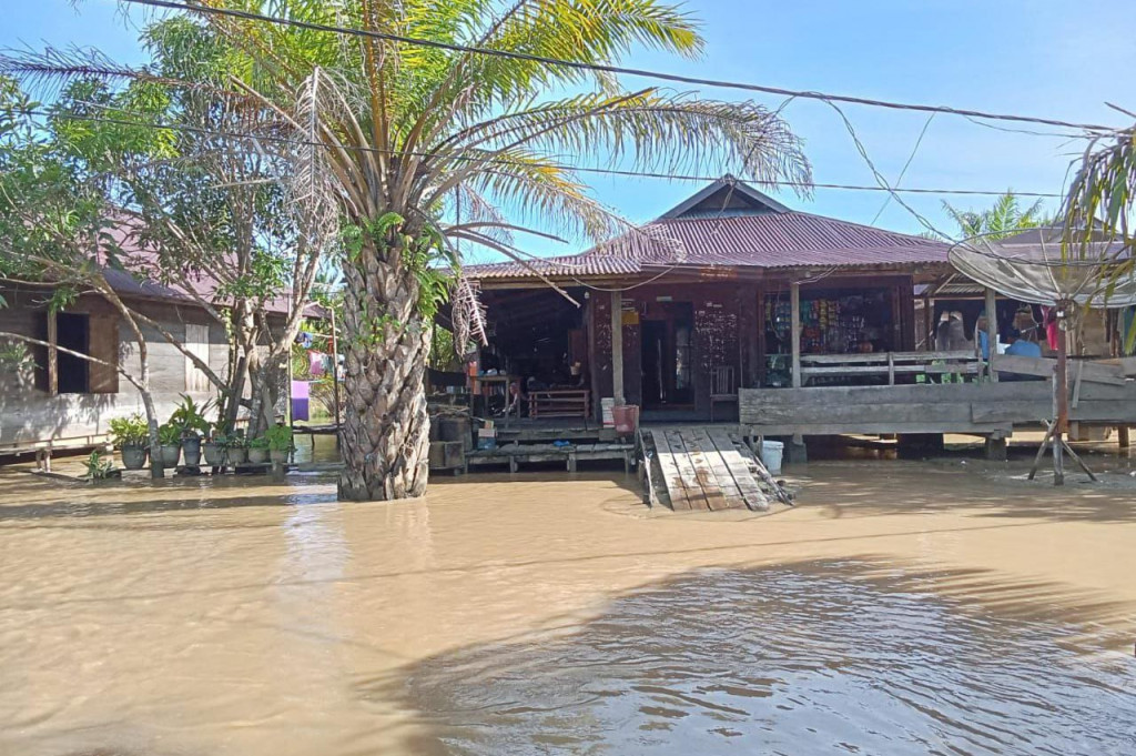 Hujan deras yang mengguyur Kabupaten Aceh Singkil, Aceh, beberapa hari terakhir mengakibatkan banjir meluas dan merendam sejumlah desa di 6 kecamatan. Banjir ini mengakibatkan terputusnya akses jalan Singkil-Subulussalam.