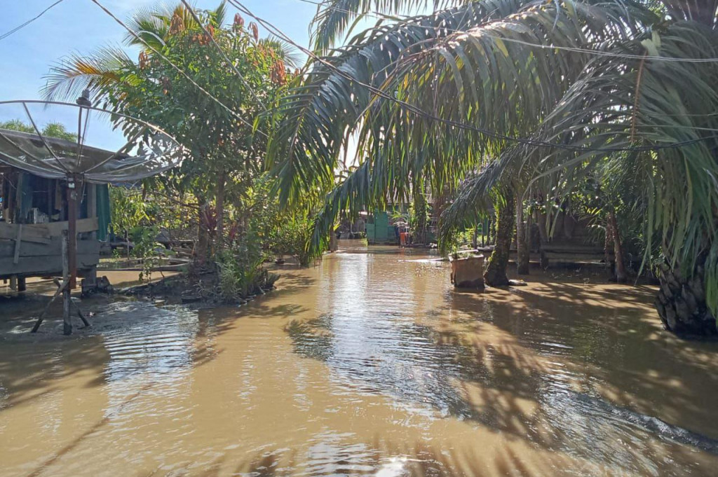 Kalak Badan Penanggulangan Bencana Aceh (BPBA), Teuku Nara Setia, mengatakan banjir melanda desa-desa di Kecamatan Suro Makmur, Simpang Kanan, Gunung Meriah, Danau Paris, Kuta Baharu, dan Singkil.