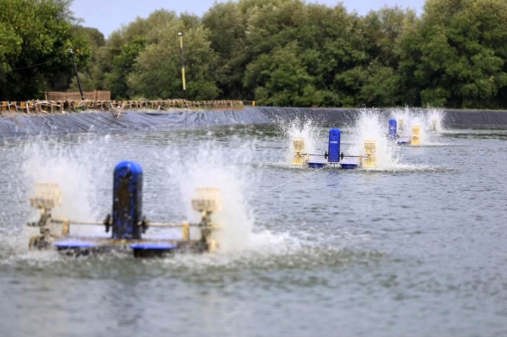 Selain itu tambak tersebut juga dilengkapi dengan teknologi modern berupa alat pemberi umpan secara otomatis atau e-feeder, serta instalasi Internet of Things (IoT) water quality smart sensor untuk memantau kualitas air.