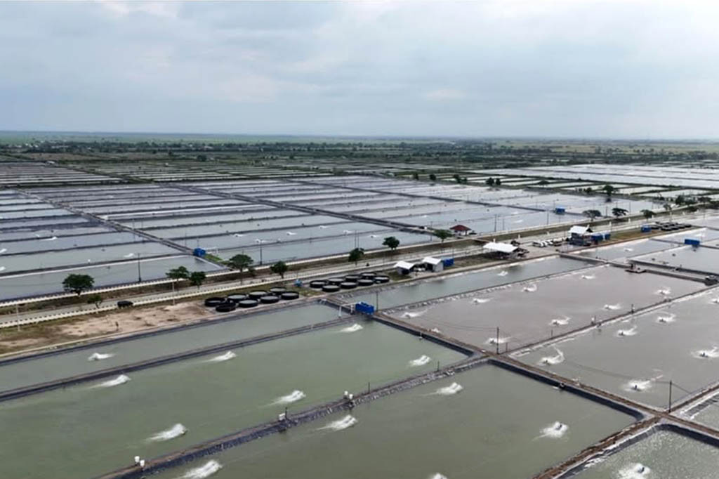 Fasilitas BINS memiliki luas lahan 84 hektare yang kini diproyeksikan menjadi program revitalisasi tambak Pantai Utara Jawa (Pantura), yang akan dimulai pada 2025 dan dilakukan secara bertahap hingga 2029.