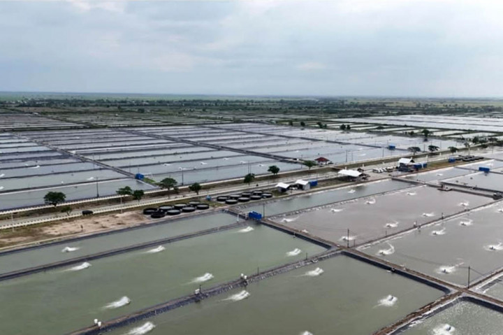 Fasilitas BINS memiliki luas lahan 84 hektare yang kini diproyeksikan menjadi program revitalisasi tambak Pantai Utara Jawa (Pantura), yang akan dimulai pada 2025 dan dilakukan secara bertahap hingga 2029.