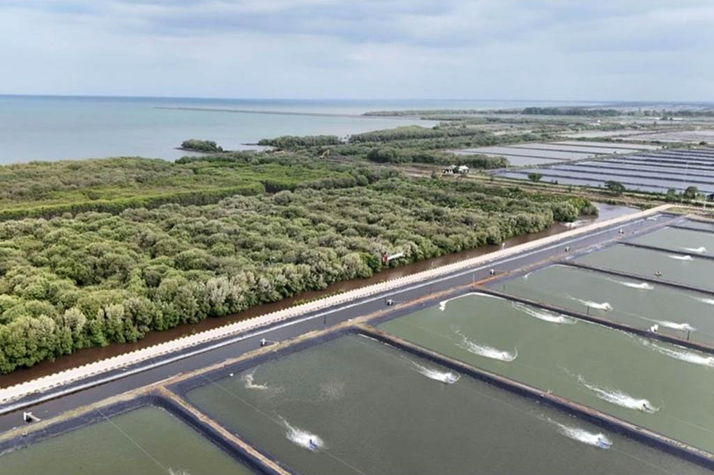 Benih ikan yang digunakan merupakan benih ikan nila sakti yang diolah melalui enam tahap, meliputi unit pemeliharaan ikan, unit pembenihan, unit pendederan ikan, Instalasi Pengolahan Air Limbah (IPAL).