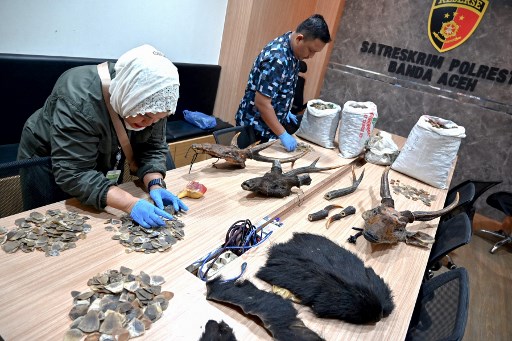 Satuan Reserse Kriminal (Satreskrim) Polresta Banda Aceh mengungkap kasus perdagangan berbagai jenis satwa liar dilindungi di kawasan Peukan Bada, Kabupaten Aceh Besar.