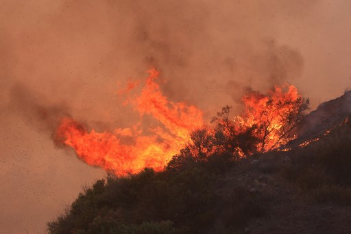 Perintah evakuasi dan peringatan telah diberikan kepada 20.000 penduduk California Selatan pada hari Selasa, 10 Desember 2024, saat petugas pemadam kebakaran berjuang melawan kebakaran hutan yang membakar dekat rumah-rumah mewah tepi pantai milik selebritas, peternakan kuda, dan Universitas Pepperdine.