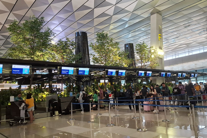 Saat memasuki bagian gate 5 jika kamu hendak melakukan pemberangkatan domestik, nuansa dedaunan hijau akan terlihat. Bagian-bagian tumbuhan ini dapat ditemui di berbagai bagian check-in dan juga restoran yang hadir di sana.