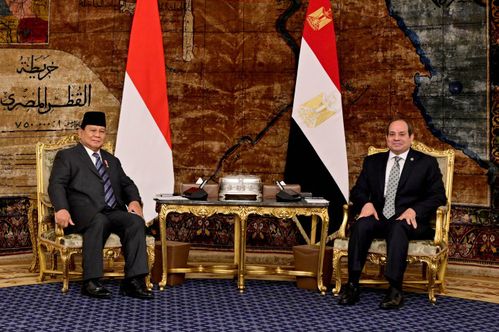 Usai upacara penyambutan, Presiden Prabowo dan Presiden El-Sisi memasuki Istana untuk melakukan sesi foto bersama. Setelahnya, kedua pemimpin negara memperkenalkan delegasi masing-masing negara.