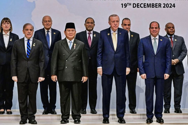 Prabowo mengutarakan pendapatnya mendukung persatuan berkaca dari realita bahwa D-8 memiliki anggota yang merupakan negara-negara dengan populasi Muslim terbanyak secara global. Persatuan dari negara-negara berpenduduk mayoritas Muslim seharusnya mampu berdampak dan mendorong di kancah global khususnya dalam hal kemerdekaan Palestina dan menjaga kedamaian di Lebanon.