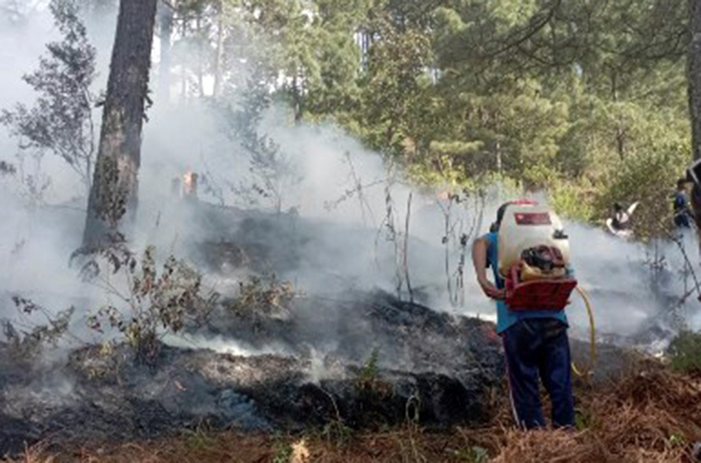Pesawat Cessna 207 itu sebelumnya terbang dari La Parota di negara bagian tetangga Michoacan.