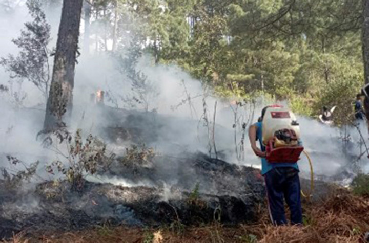 Pesawat Cessna 207 itu sebelumnya terbang dari La Parota di negara bagian tetangga Michoacan.