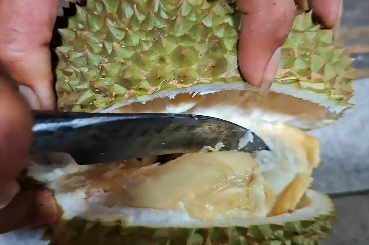 Sementara harga durian yang dijual bervariasi, mulai dari Rp15 ribu hingga Rp300 ribu per butir tergantung jenisnya. 