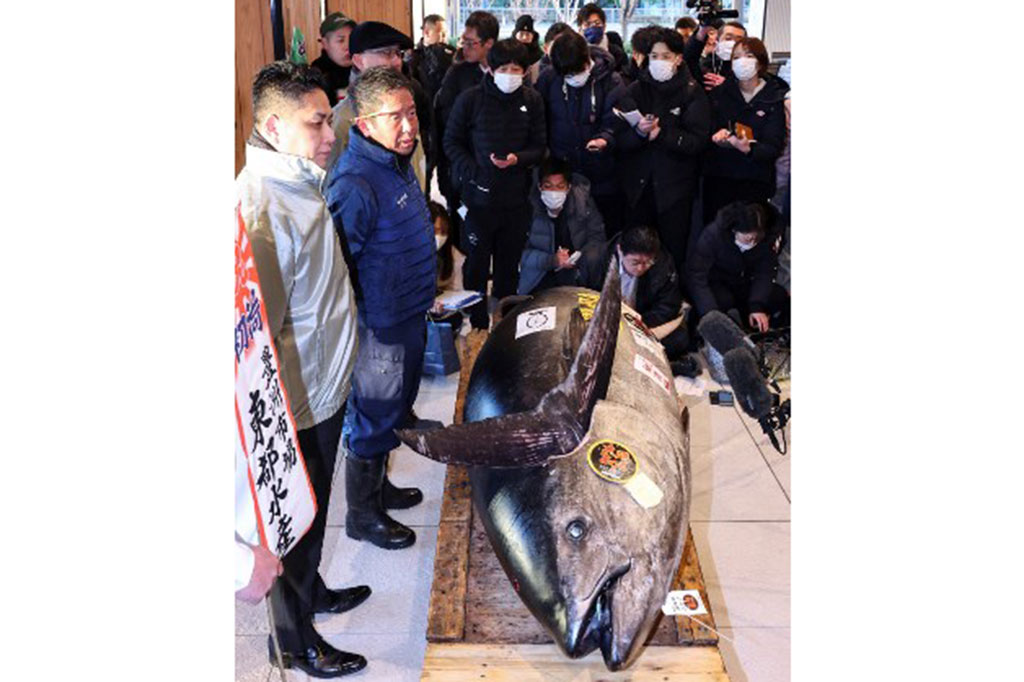 Penawaran tersebut sekitar 1,8 kali lebih tinggi dari tahun lalu, dan merupakan harga termahal kedua dalam lelang, setelah pada 2019 yang terjual seharga ¥333,6 juta (sekitar Rp34 miliar).