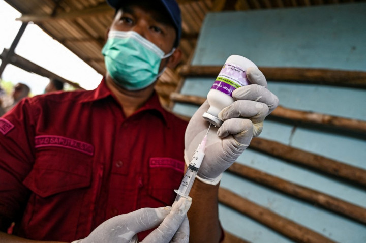 Program vaksinasi PMK ternak tersebut mulai dilaksanakan di tiga peternakan masyarakat di Gampong Tibang, Kecamatan Syiah Kuala, Kota Banda Aceh, Rabu, 8 Januari 2025.