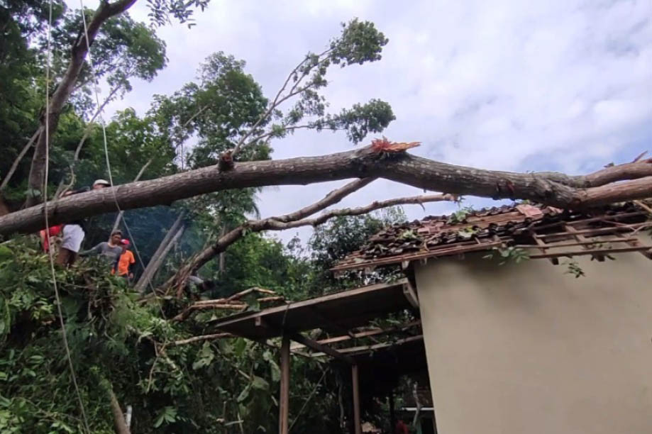 Akibat kejadian ini rumah warga rusak pada bagian atap karena tertimpa pohon yang tumbang. Beruntung saat kejadian pemilik rumah sedang pergi ke luar kota sehingga tak menimbulkan korban.