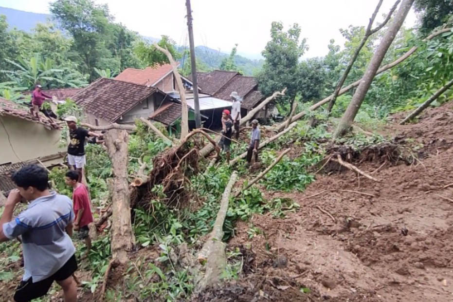 Tebing setinggi 20 meter dengan panjang sekitar 50 meter di Pedukuhan Tempel, Desa Pendoworejo, Kecamatan Girimulyo, Kabupaten kulon Progo Daerah Istimewa Yogyakarta ini longsor.