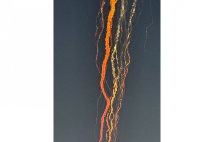 CEO SpaceX Elon Musk mengatakan indikasi awal menunjukkan bahwa bahan bakar yang bocor meningkatkan tekanan di rongga di atas sekat api mesin. Kebakaran yang dihasilkan akan menghancurkan pesawat ruang angkasa tersebut.